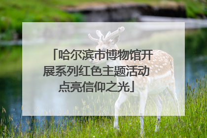 哈尔滨市博物馆开展系列红色主题活动点亮信仰之光
