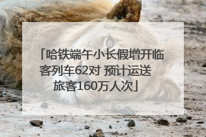哈铁端午小长假增开临客列车62对 预计运送旅客160万人次