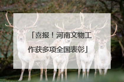 喜报！河南文物工作获多项全国表彰
