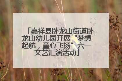 嘉祥县卧龙山街道卧龙山幼儿园开展“梦想起航，童心飞扬”六一文艺汇演活动