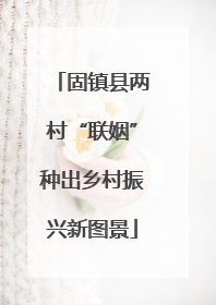 固镇县两村“联姻”种出乡村振兴新图景