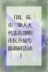 国、省、市三级人大代表在邵阳市区开展专题调研活动