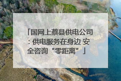 国网上蔡县供电公司：供电服务在身边 安全咨询“零距离”
