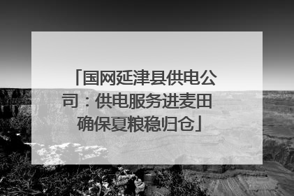 国网延津县供电公司：供电服务进麦田 确保夏粮稳归仓