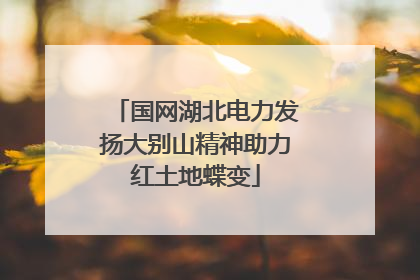 国网湖北电力发扬大别山精神助力红土地蝶变