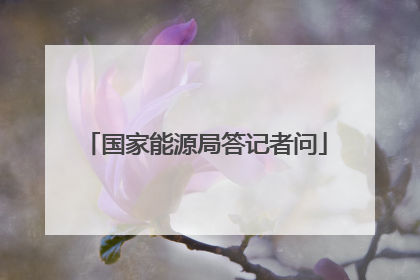 国家能源局答记者问