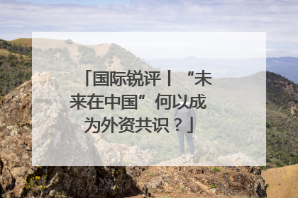 国际锐评丨“未来在中国”何以成为外资共识？