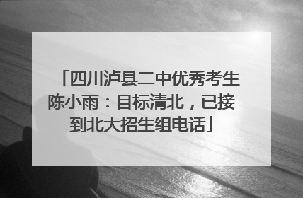四川泸县二中优秀考生陈小雨：目标清北，已接到北大招生组电话
