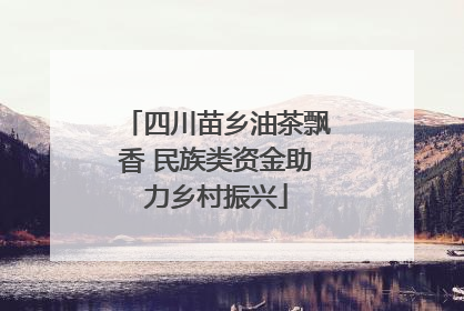 四川苗乡油茶飘香 民族类资金助力乡村振兴