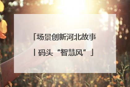 场景创新河北故事丨码头“智慧风”