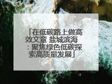 在低碳路上做高效文章 盐城滨海：聚焦绿色低碳探索高质量发展