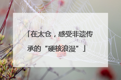 在太仓，感受非遗传承的“硬核浪漫”