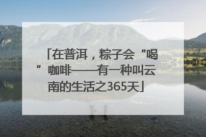 在普洱，粽子会“喝”咖啡——有一种叫云南的生活之365天