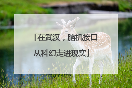 在武汉，脑机接口从科幻走进现实