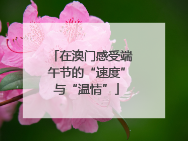 在澳门感受端午节的“速度”与“温情”
