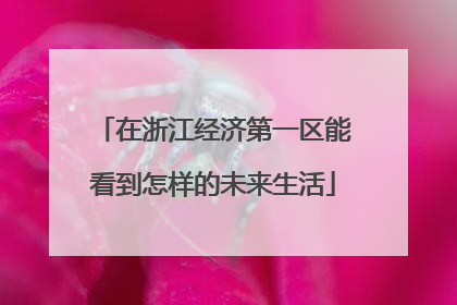 在浙江经济第一区能看到怎样的未来生活