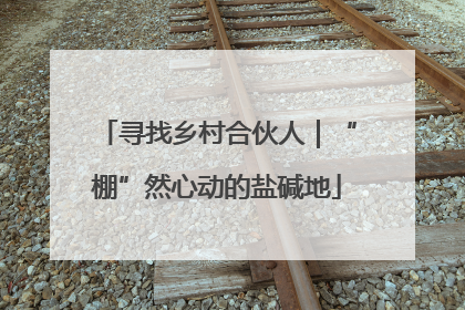 寻找乡村合伙人｜“棚”然心动的盐碱地