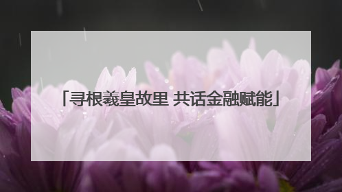 寻根羲皇故里 共话金融赋能