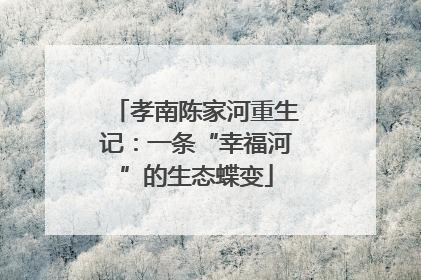 孝南陈家河重生记：一条“幸福河”的生态蝶变