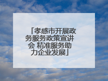 孝感市开展政务服务政策宣讲会 精准服务助力企业发展