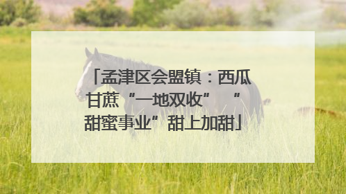 孟津区会盟镇：西瓜甘蔗“一地双收” “甜蜜事业”甜上加甜