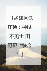 孟津区送庄镇：种瓜不见土 田野更“多金”