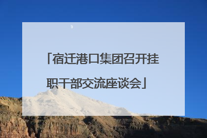 宿迁港口集团召开挂职干部交流座谈会