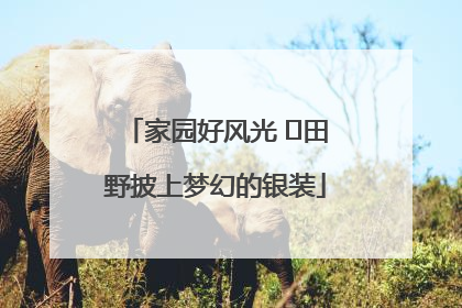 家园好风光 ⎮田野披上梦幻的银装