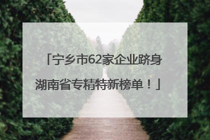 宁乡市62家企业跻身湖南省专精特新榜单！