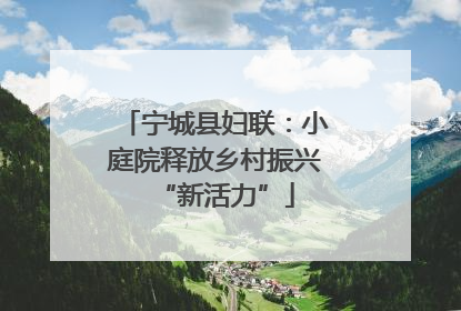 宁城县妇联：小庭院释放乡村振兴“新活力”