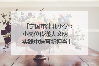 宁国市津北小学：小岗位传递大文明 实践中培育新担当