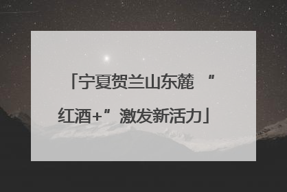 宁夏贺兰山东麓 “红酒+”激发新活力