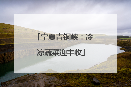 宁夏青铜峡：冷凉蔬菜迎丰收