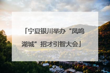 宁夏银川举办“凤鸣湖城”招才引智大会