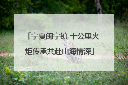宁夏闽宁镇 十公里火炬传承共赴山海情深