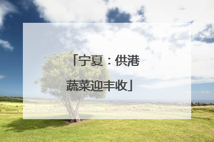 宁夏：供港蔬菜迎丰收