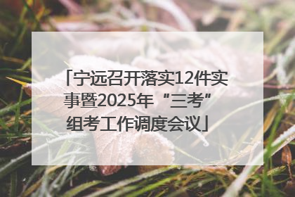 宁远召开落实12件实事暨2025年“三考”组考工作调度会议