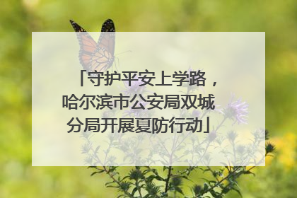 守护平安上学路，哈尔滨市公安局双城分局开展夏防行动