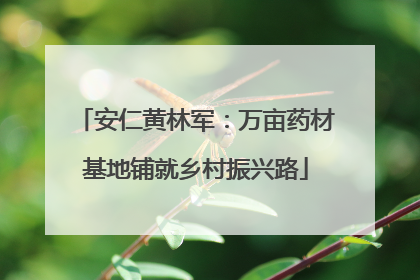 安仁黄林军：万亩药材基地铺就乡村振兴路