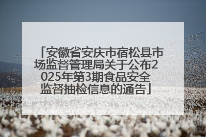 安徽省安庆市宿松县市场监督管理局关于公布2025年第3期食品安全监督抽检信息的通告
