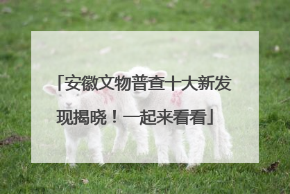 安徽文物普查十大新发现揭晓！一起来看看