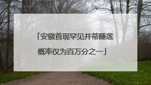安徽首现罕见并蒂睡莲 概率仅为百万分之一