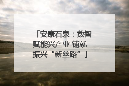 安康石泉：数智赋能兴产业 铺就振兴“新丝路”
