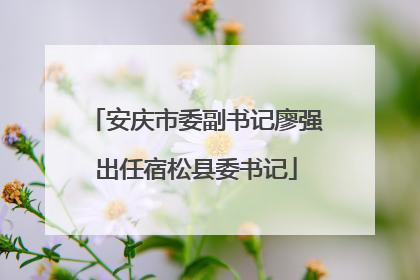 安庆市委副书记廖强出任宿松县委书记