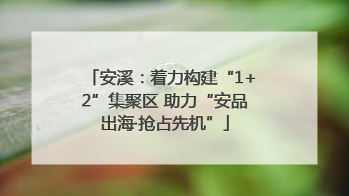 安溪：着力构建“1+2”集聚区 助力“安品出海·抢占先机”