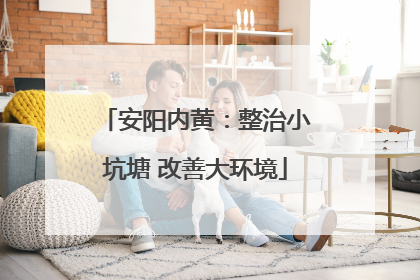 安阳内黄：整治小坑塘 改善大环境