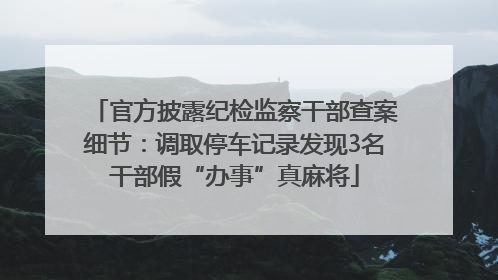 官方披露纪检监察干部查案细节：调取停车记录发现3名干部假“办事”真麻将