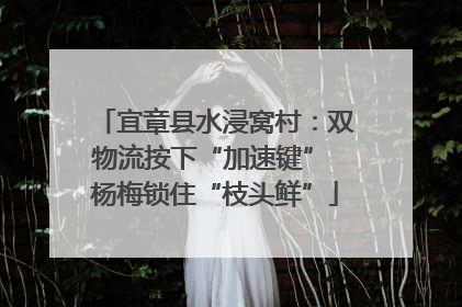 宜章县水浸窝村：双物流按下“加速键” 杨梅锁住“枝头鲜”