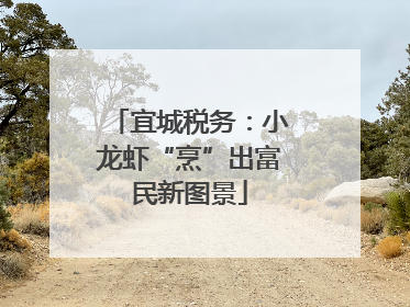 宜城税务：小龙虾“烹”出富民新图景