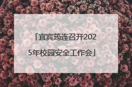 宜宾筠连召开2025年校园安全工作会